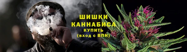 молекула духа Богородск