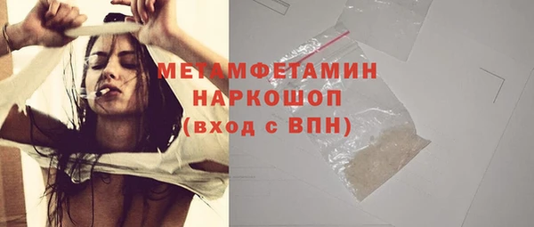 сатива Беломорск