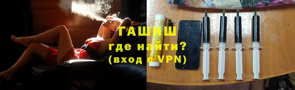 сатива Беломорск