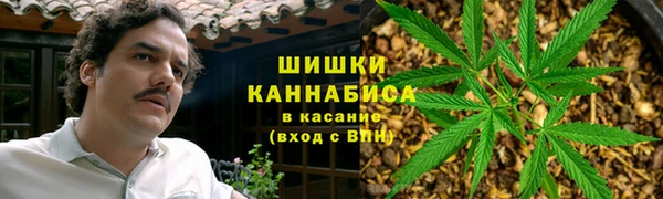 соль ск Богородицк